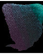 Rembrandt Aquarellfarben Special Effekts Chamäleon-Schimmer-Interference Farben