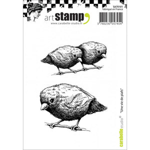 Carabelle Studio • Cling stamp A7  " une vie de piafs " 2 Stempel